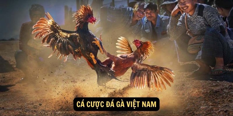 Cá cược đá gà Việt Nam