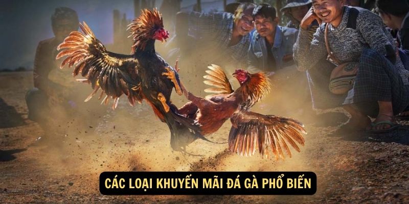 Các loại khuyến mãi đá gà phổ biến