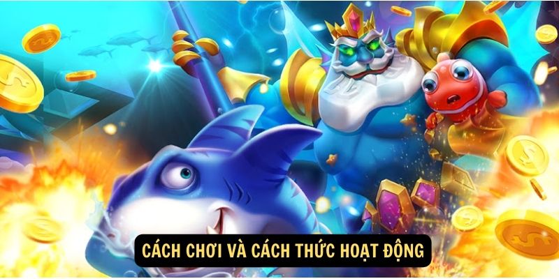 Cách chơi và cách thức hoạt động