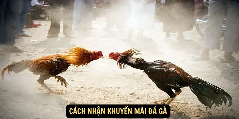 Cach nhan khuyen mai da ga