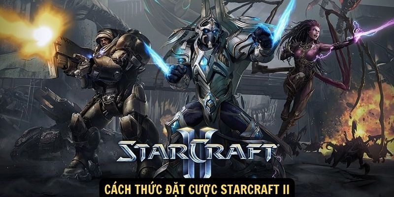 Cách thức đặt cược Starcraft II