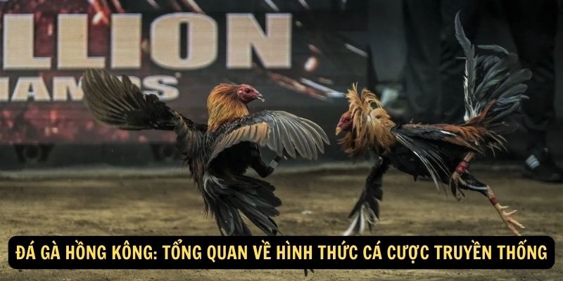 Da ga Hong Kong Tong quan ve hinh thuc ca cuoc truyen thong