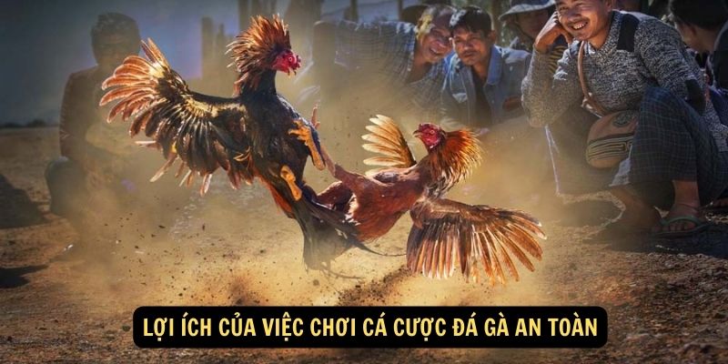 Lợi ích của việc chơi cá cược đá gà an toàn