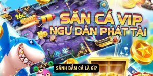 Sanh ban ca la gi